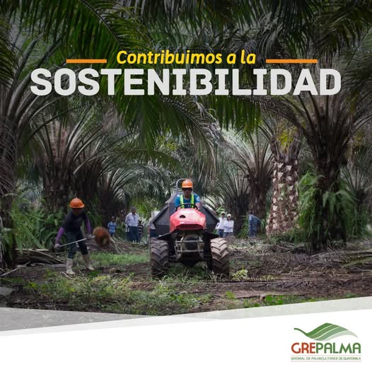 Buffalo Erreppi: un prodotto unico al mondo