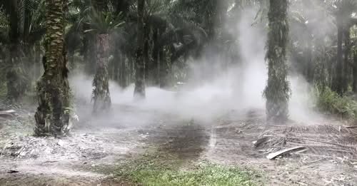 Siamo leader per la compattazione ZERO del suolo!!!